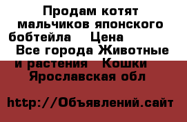 Продам котят мальчиков японского бобтейла. › Цена ­ 30 000 - Все города Животные и растения » Кошки   . Ярославская обл.